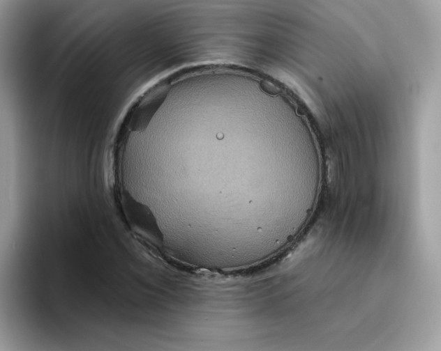 X0000094211069200711091233