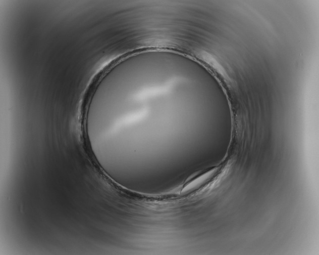 X0000094211071200711091233