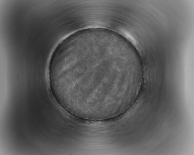 X0000094211072200711091233