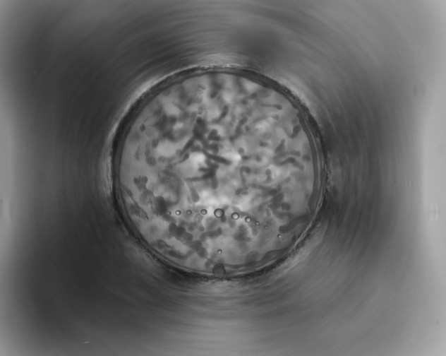 X0000094211075200711091233