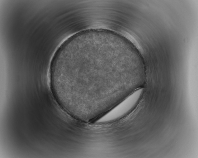 X0000094211076200711091233