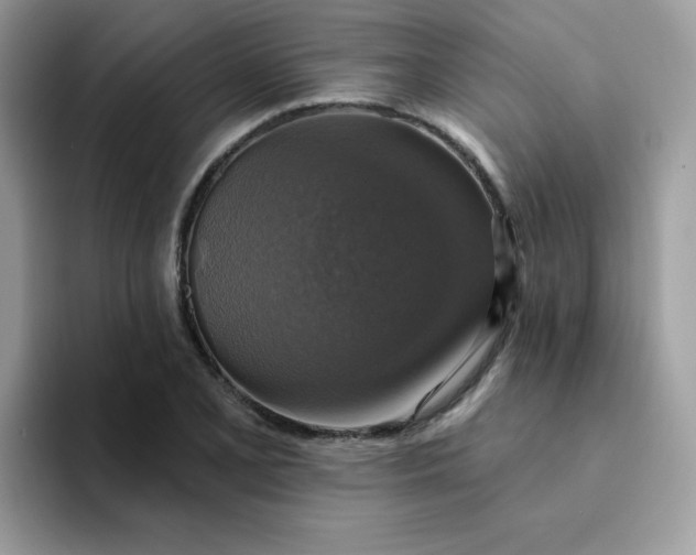 X0000094211077200711091233
