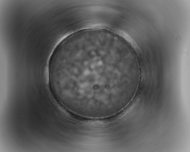 X0000094211079200711091233