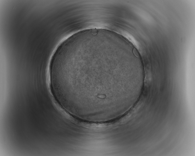 X0000094211080200711091233
