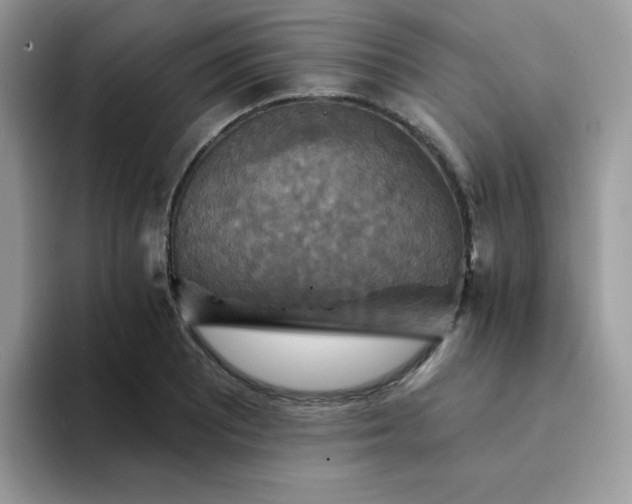 X0000094211081200711091233