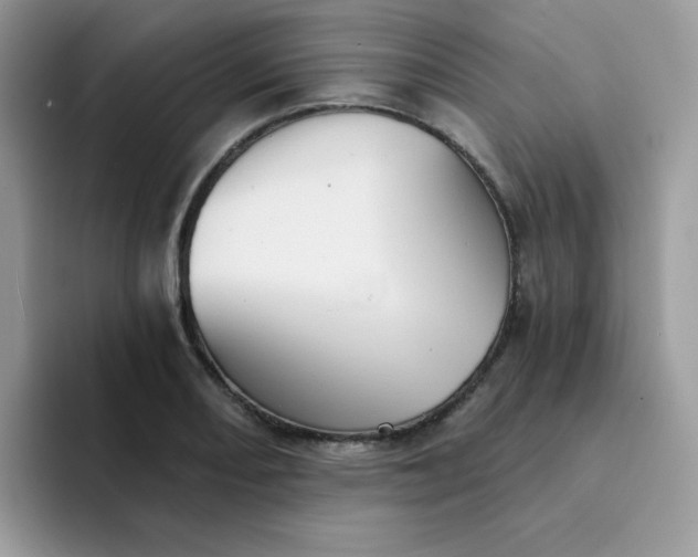 X0000094211082200711091233