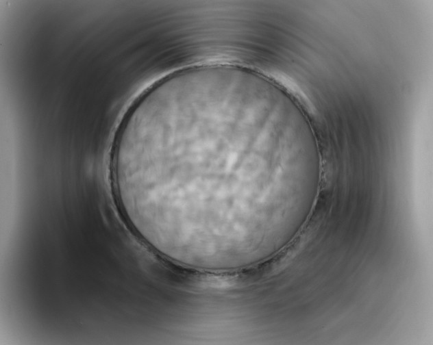 X0000094211086200711091233