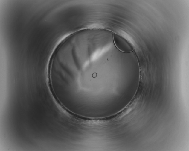 X0000094211087200711091233