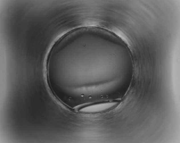 X0000094211088200711091233