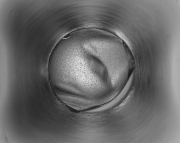 X0000094211089200711091233