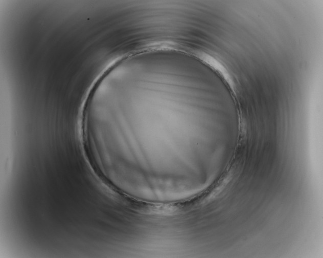 X0000094211090200711091233