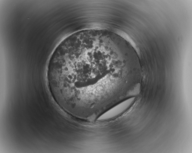 X0000094211091200711091233