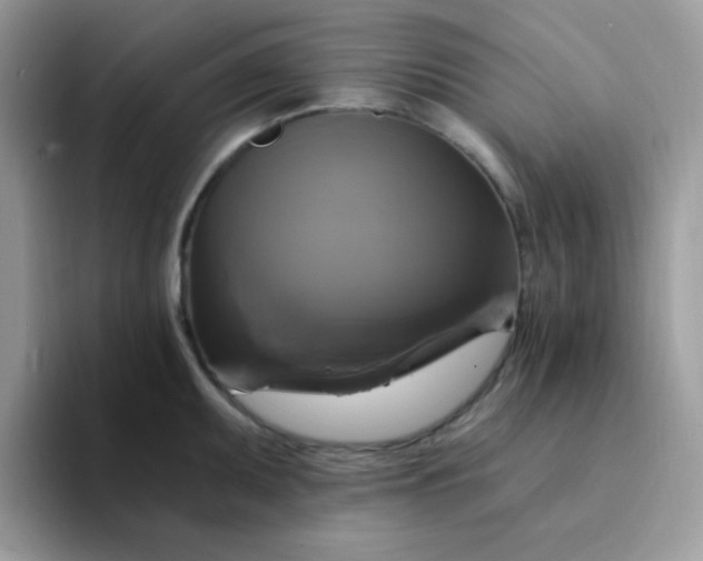 X0000094211095200711091233