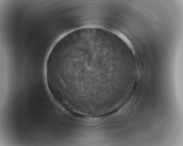 X0000094211096200711091233