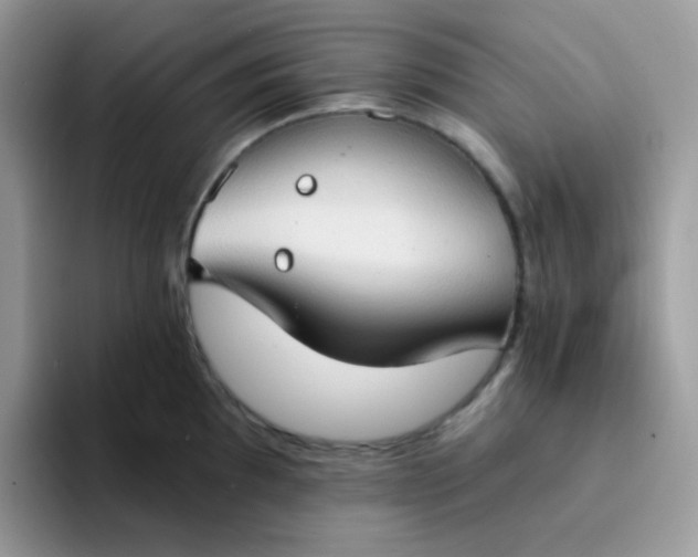 X0000094211097200711091233