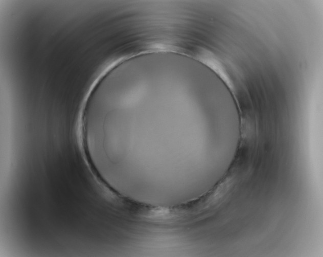 X0000094211098200711091233