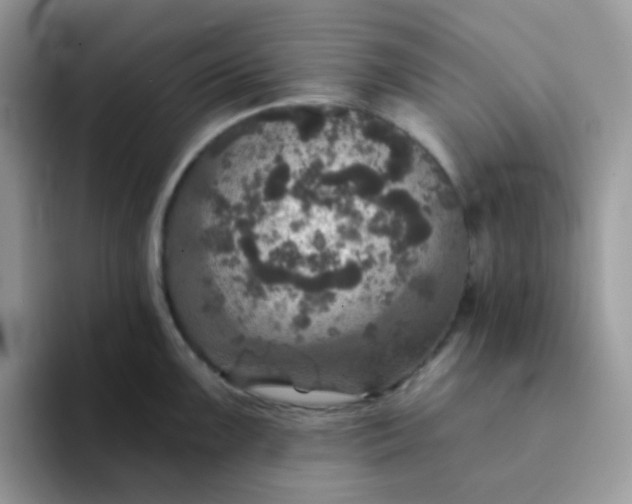 X0000094211099200711091233