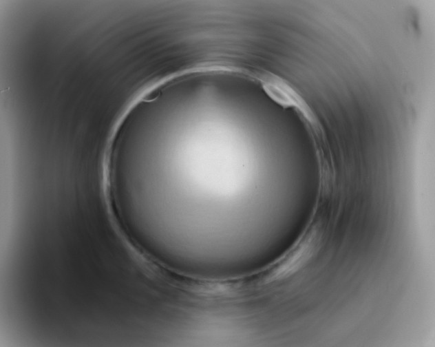 X0000094211101200711091233