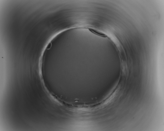 X0000094211102200711091233