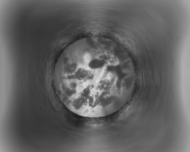 X0000094211105200711091232