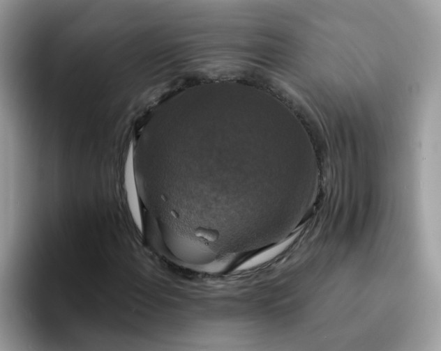 X0000094211108200711091232