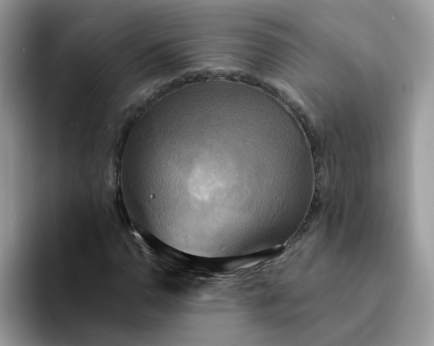 X0000094211110200711091232