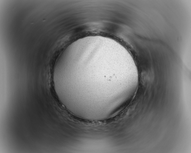 X0000094211111200711091232