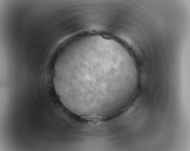 X0000094211112200711091232