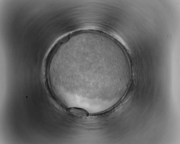 X0000094211116200711091232