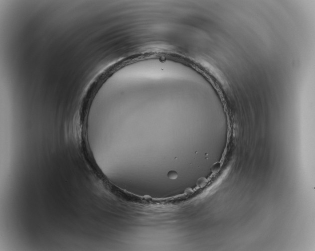 X0000094211117200711091232