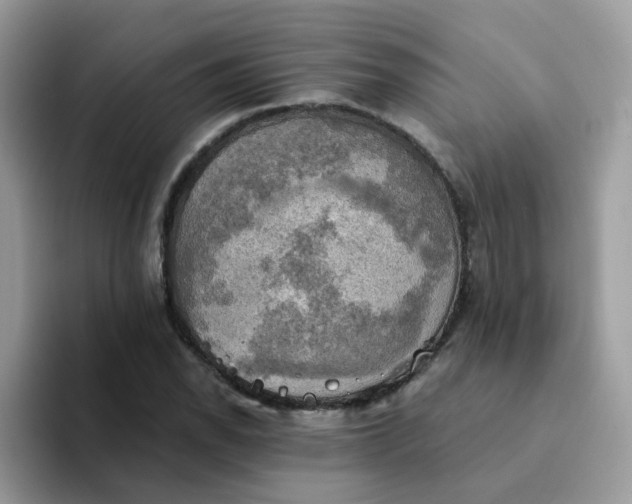 X0000094211118200711091232