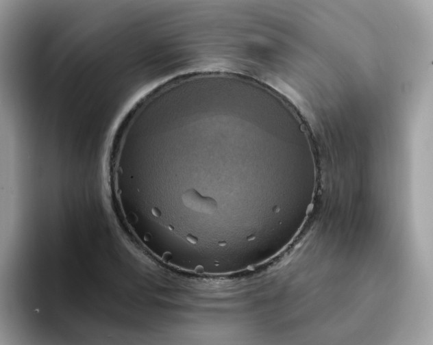 X0000094211120200711091232
