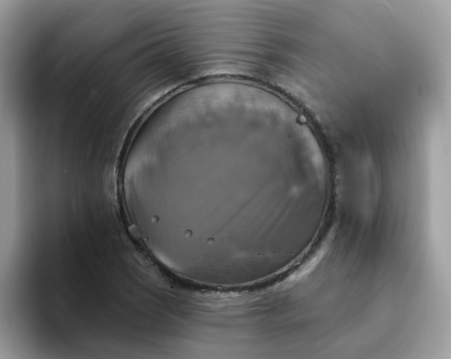 X0000094211121200711091232