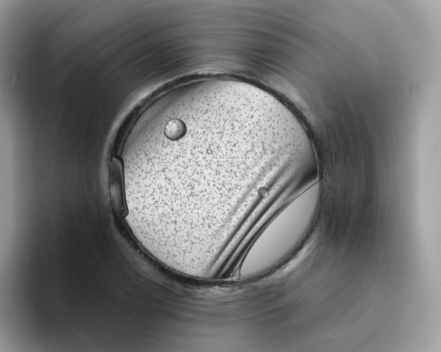 X0000094211122200711091232