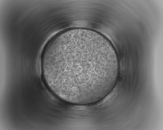 X0000094211123200711091232