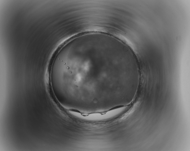 X0000094211125200711091232
