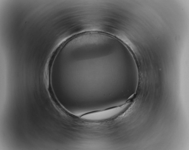 X0000094211127200711091232