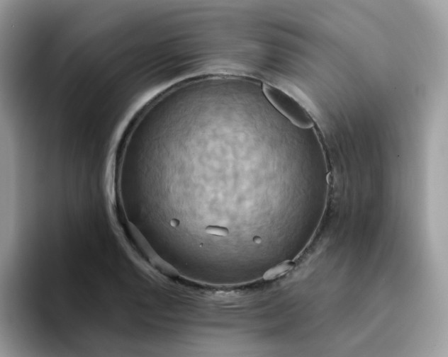 X0000094211128200711091232