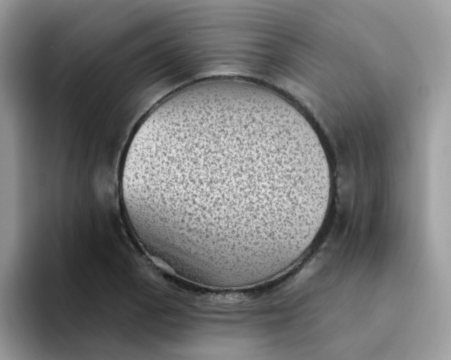 X0000094211129200711091233
