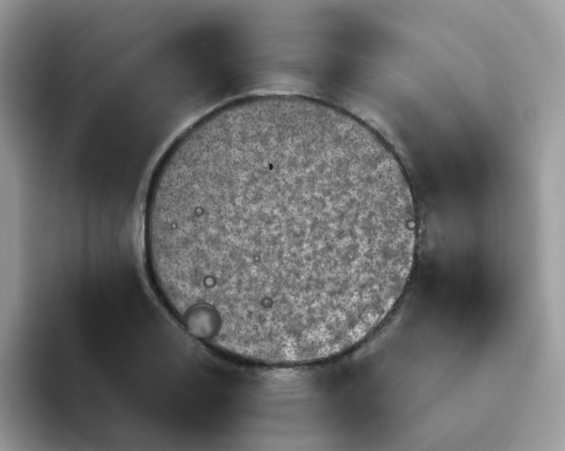 X0000094211130200711091233