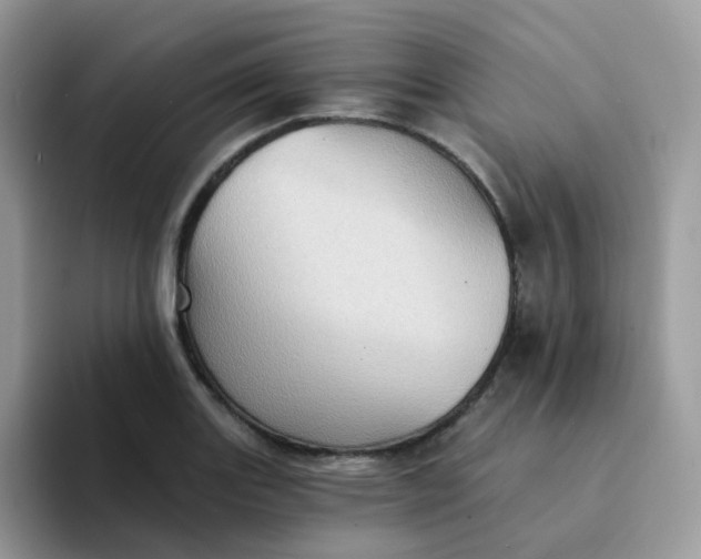 X0000094211131200711091233