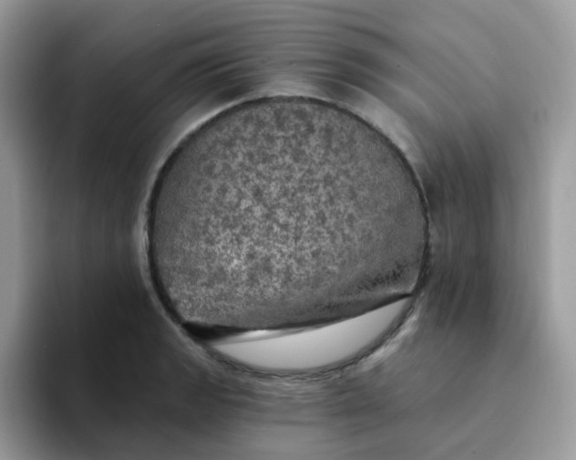 X0000094211133200711091233