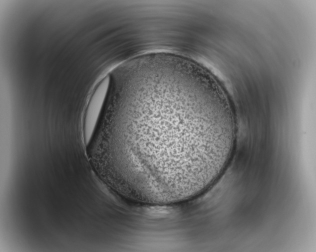 X0000094211137200711091233