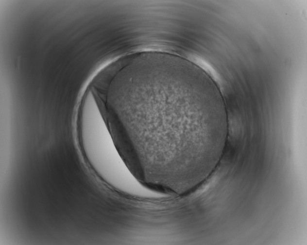 X0000094211138200711091233