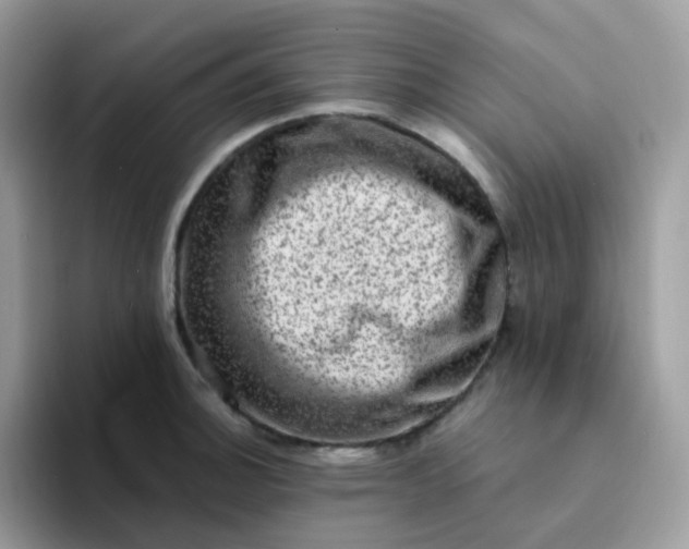 X0000094211140200711091233