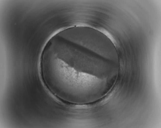 X0000094211142200711091233