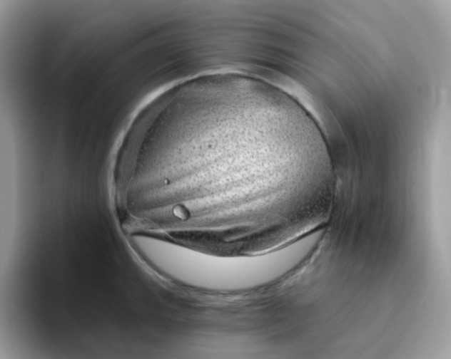 X0000094211143200711091233