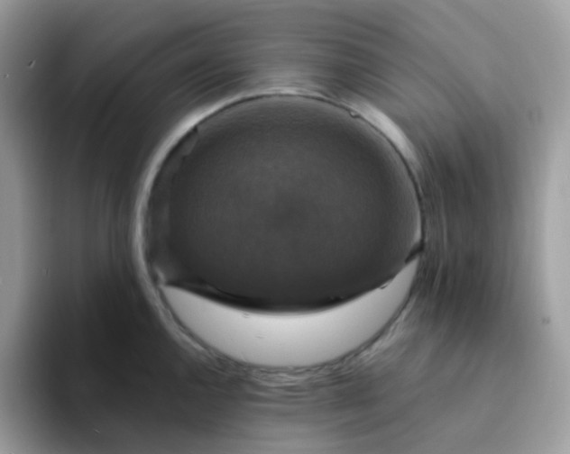 X0000094211144200711091233