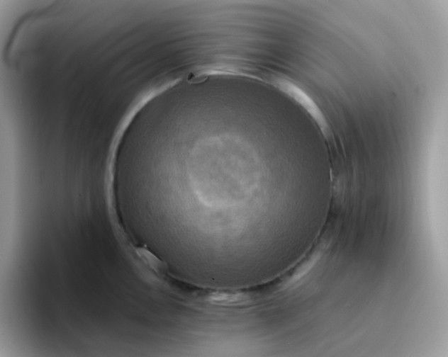 X0000094211146200711091233