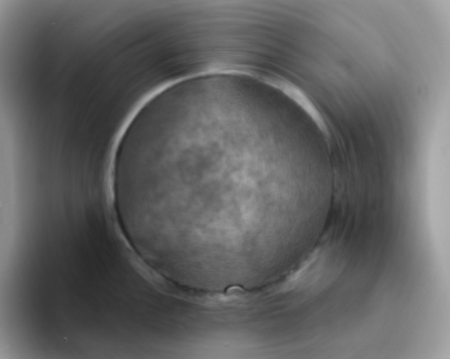 X0000094211148200711091233